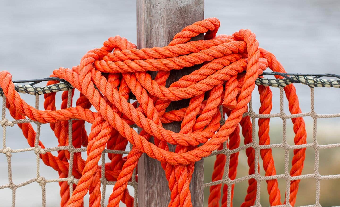 Places that hotsell sell rope